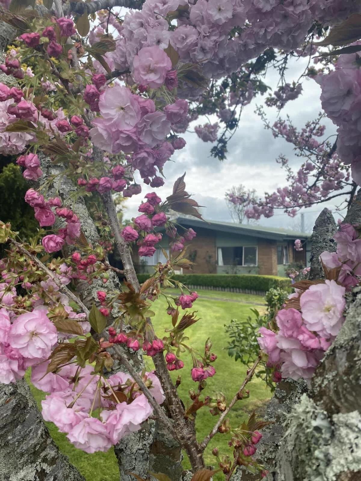 Roselake Retreat Rotorua Exterior photo
